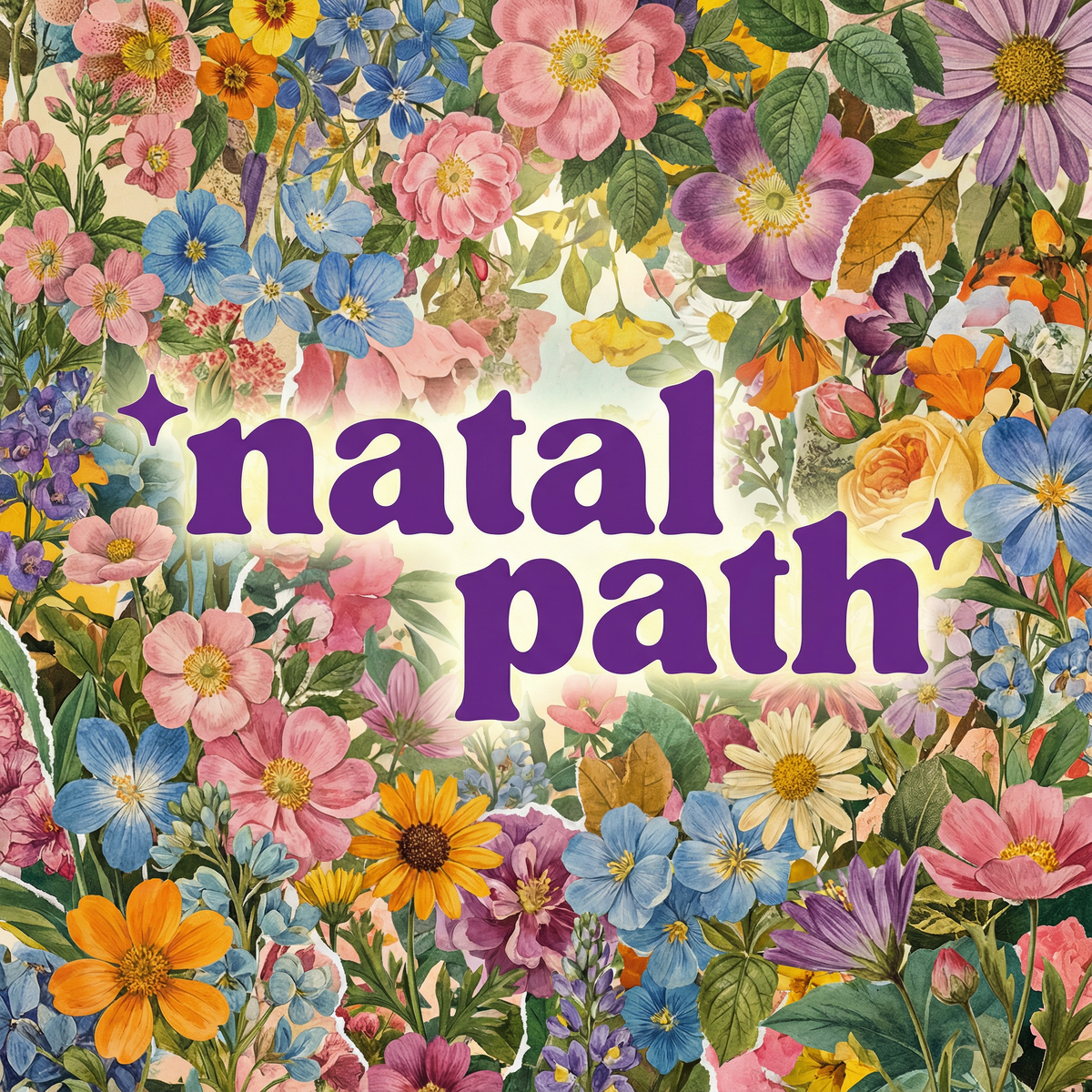 When Natalpath Is the Right Choice for a Professional Natal Chart Reading